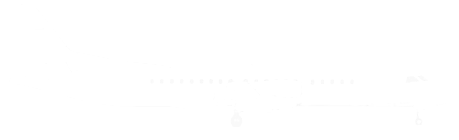 Private Plane Flights